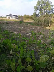 Орендувати ділянку, for building, Sokilniki, Pustomitivskiy district, id 5914835