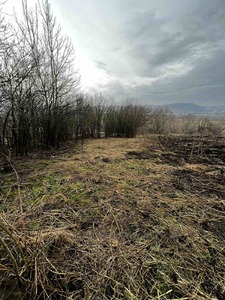 Buy a lot of land, for building, Шевченка, Dmitrovichi, Pustomitivskiy district, id 4534569