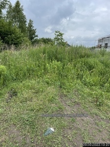 Buy a lot of land, agricultural, Sokilniki, Pustomitivskiy district, id 4218631