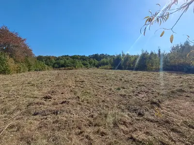 Купити ділянку, Малинівка, Пустомитівський район, id 5929011