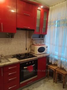 Rent an apartment, Czekh, Grinchenka-B-vul, 4, Lviv, Shevchenkivskiy district, id 4329719