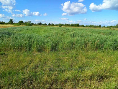 Buy a lot of land, for building, Volya Visockaya, Zhovkivskiy district, id 4510268