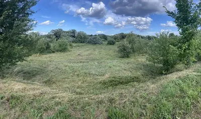 Купить участок, под застройку, Пустомыты, Пустомытовский район, id 5913718