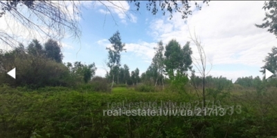 Buy a lot of land, for building, Sknilov, Pustomitivskiy district, id 3817576