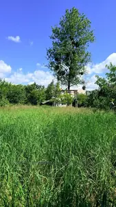 Купить участок, садоводство, Центральна, Солонка, Пустомытовский район, id 5911984