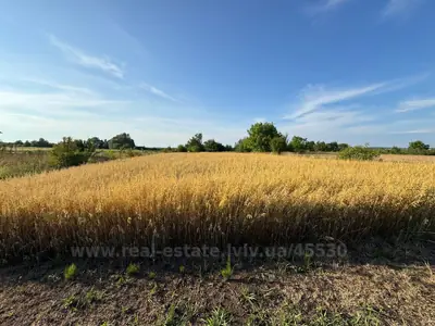 Купить участок, под застройку, Мистки, Пустомытовский район, id 5918074