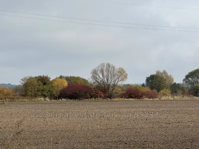Купити ділянку, садівництво, Ясниська, Яворівський район, id 5915081