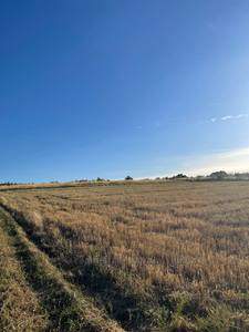 Buy a lot of land, for building, Podgornoe, Pustomitivskiy district, id 5884742