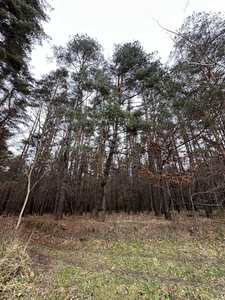 Buy a lot of land, Bryukhovichi, Lvivska_miskrada district, id 4558200