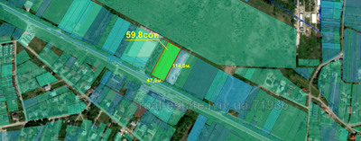 Buy a lot of land, commercial, Sadova Street, Sokilniki, Pustomitivskiy district, id 3609665