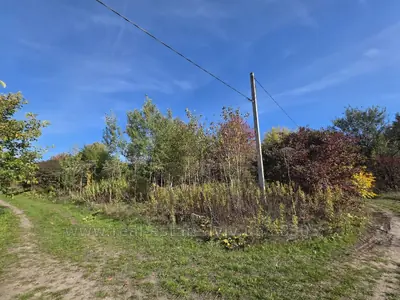 Купити ділянку, комерційного, Яворівська, Великополе, Яворівський район, id 5916019