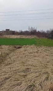 Buy a lot of land, for building, Лесі Українки, Podberezcy, Pustomitivskiy district, id 4437672
