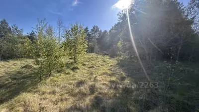 Купити ділянку, Загора, Миколаїв, Миколаївський район, id 5923073