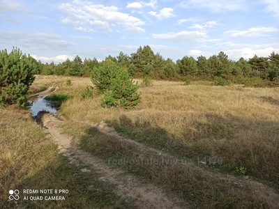 Buy a lot of land, gardening, Turinka, Zhovkivskiy district, id 2418998