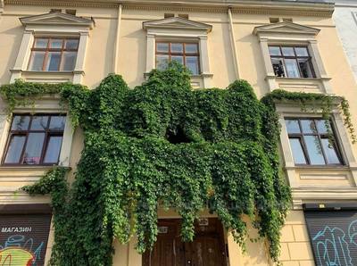 Commercial real estate for rent, Residential premises, Valova-vul, Lviv, Galickiy district, id 4241862
