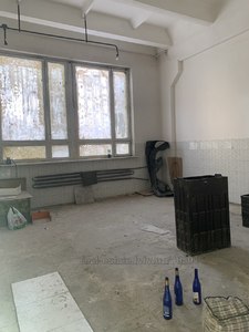 Commercial real estate for rent, Business center, Shevchenka-T-vul, Lviv, Shevchenkivskiy district, id 4316120