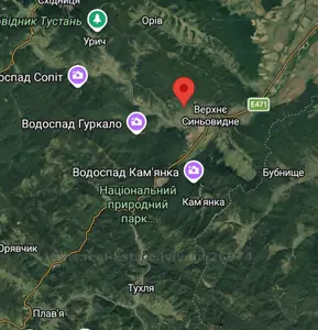 Купить участок, сельскохозяйственного, Верхнее Синьовидное, Сколевский район, id 5924503