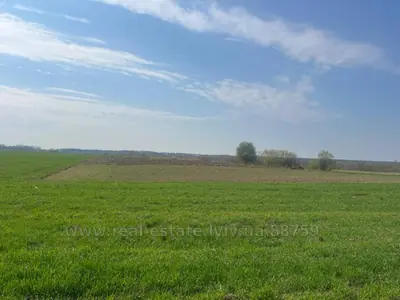 Buy a lot of land, for building, Zaluzhe, Gorodockiy district, id 5924572