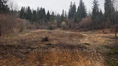 Купити ділянку, під забудову, Славсько, Славсько, Сколівський район, id 5925567