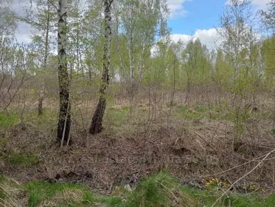 Buy a lot of land, for building, Шевченка, Sknilov, Pustomitivskiy district, id 5923347