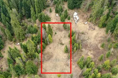 Buy a lot of land, for building, Oryavchik, Skolivskiy district, id 5917464