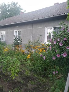 Buy a house, Жидачів, Zhidachev, Zhidachivskiy district, id 4543494