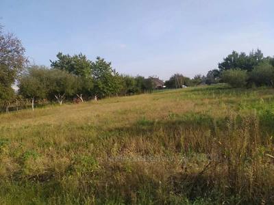 Buy a lot of land, Rakovec, Pustomitivskiy district, id 4255735