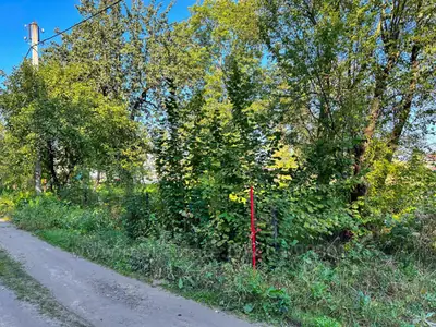 Buy a lot of land, for building, Palanki, Yavorivskiy district, id 5928490