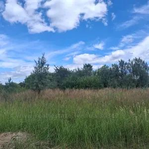 Купити ділянку, садівництво, Підрясне, Яворівський район, id 5919419