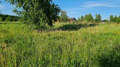 Buy a lot of land, for building, Ryasne-Rus'ke, Lvivska_miskrada district, id 4592120