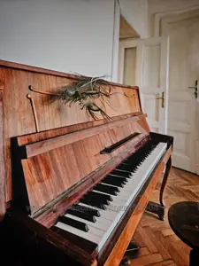 Купити квартиру, Австрійський люкс, Гавришкевича С. вул., Львів, Галицький район, id 5913568