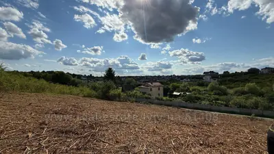 Купить участок, Соколина, Сокольники, Пустомытовский район, id 5917451