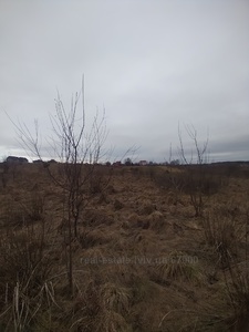 Buy a lot of land, for building, Д, Basovka, Pustomitivskiy district, id 4527091
