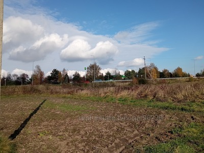 Buy a lot of land, agricultural, Рясне-Руське, Ryasne-Rus'ke, Lvivska_miskrada district, id 4560855