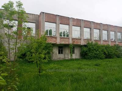 Commercial real estate for sale, Multifunction complex, Grushevskogo-vul, Stryy, Striyskiy district, id 3808451