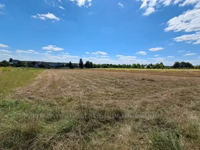 Buy a lot of land, Mistki, Pustomitivskiy district, id 5927648