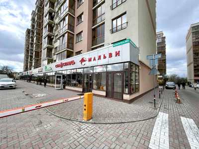 Commercial real estate for rent, Knyagini-Olgi-vul, Lviv, Frankivskiy district, id 4582627