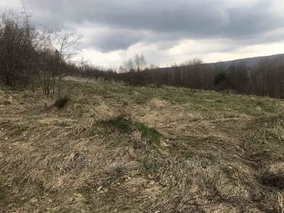 Купить участок, сельскохозяйственного, Трускавец, Дрогобицкий район, id 5918124