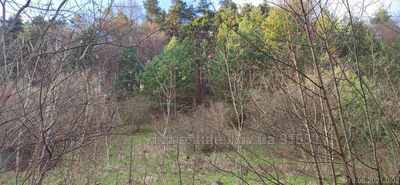 Buy a lot of land, agricultural, Bryukhovichi, Lvivska_miskrada district, id 4468537