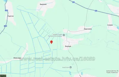 Buy a lot of land, agricultural, Vorociv, Yavorivskiy district, id 5911199