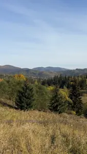Купить участок, Славсько, Сколевский район, id 5639218