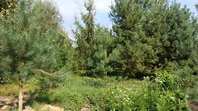 Купити ділянку, сільськогосподарського, Поршнянська, Липники, Пустомитівський район, id 5919994