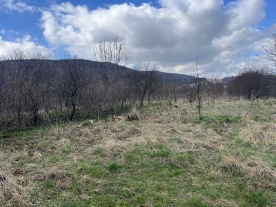 Buy a lot of land, Львівська, Krasnoe, Zolochivskiy district, id 4530798