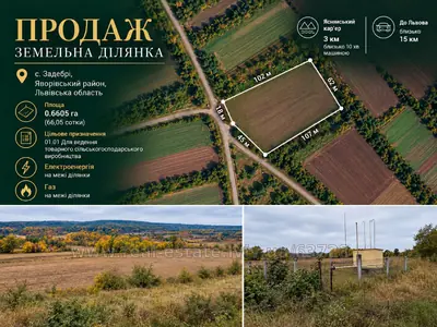 Купити ділянку, сільськогосподарського, Задебрі, Яворівський район, id 5923345
