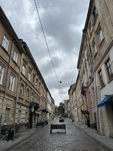 Rent an apartment, Austrian, Lesi-Ukrayinki-vul, Lviv, Galickiy district, id 4551978