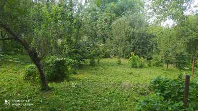 Buy a lot of land, for building, Підберезна, Brody, Brodivskiy district, id 4414605