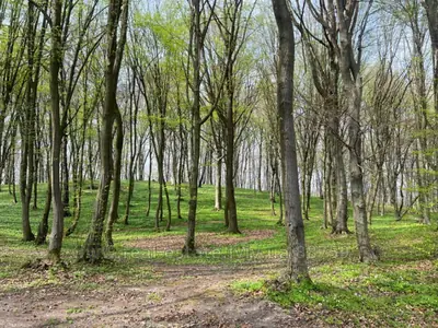 Купить участок, садоводство, Малые Грибовичи, Жовковский район, id 5921144