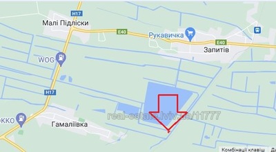 Buy a lot of land, gardening, Енергетик, Gamaleevka, Pustomitivskiy district, id 3974831