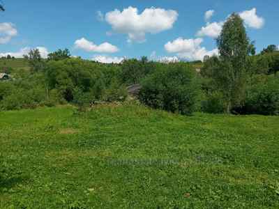 Buy a lot of land, for building, Шевченка, Rosokhach, Skolivskiy district, id 2443971