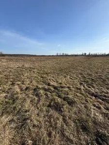 Купить участок, под застройку, Оброшиное, Пустомытовский район, id 5921340